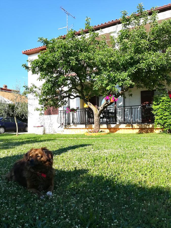 Villa Nina Пореч Экстерьер фото